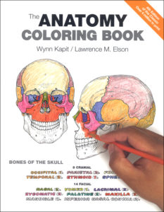 Coloring Concepts Anatomy Coloring Book
