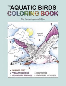 Coloring Concepts Aquatic Bird Coloring Book