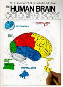 Coloring Concepts Human Brain Coloring Book