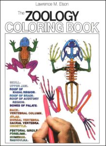 Coloring Concepts Zoology Coloring Book