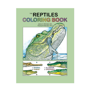 Coloring Concepts Reptiles Coloring Book