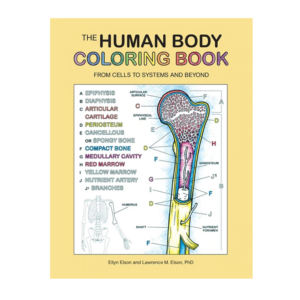 Human Body Coloring Book by Coloring Concepts