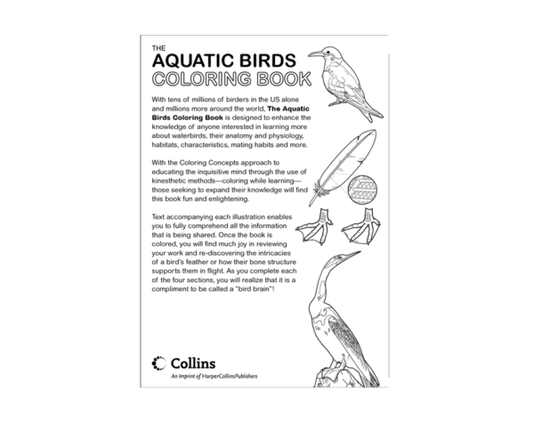 Coloring Concepts Aquatic Birds Coloring Book