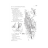 Coloring Concepts Human Brain Coloring Book