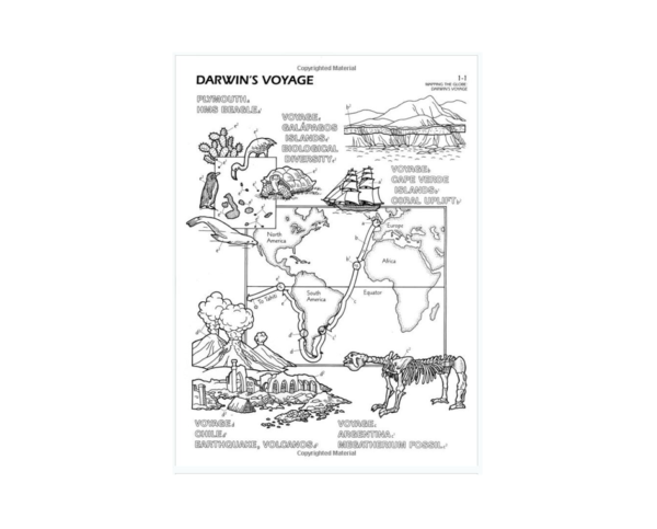 Coloring Concepts Human Evolution Coloring Book