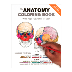 Coloring Concepts Anatomy Coloring Book