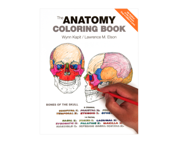Coloring Concepts Anatomy Coloring Book