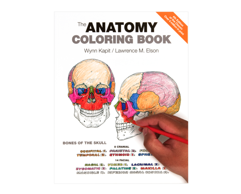 Anatomy Coloring Book, (4th Edition) Coloring Concepts, Inc.