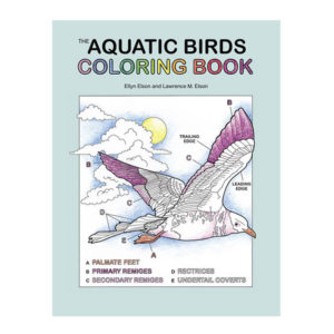 Coloring Concepts Aquatic Birds Coloring Book