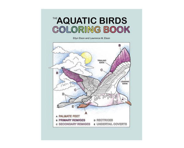 Coloring Concepts Aquatic Birds Coloring Book