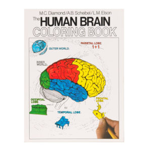 Coloring Concepts Human Brain Coloring Book