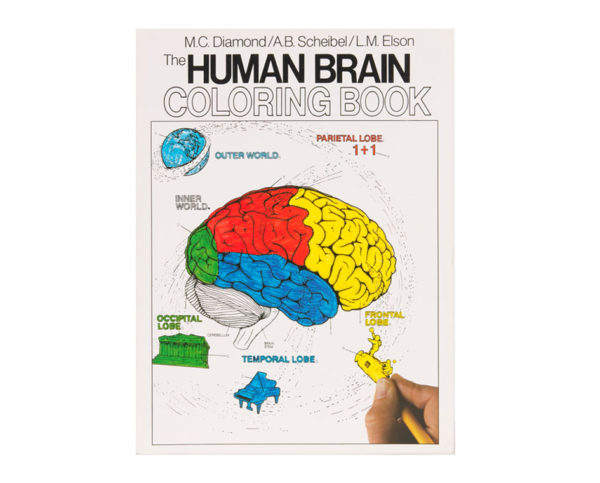 Coloring Concepts Human Brain Coloring Book