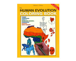 Coloring Concepts Human Evolution Coloring Book