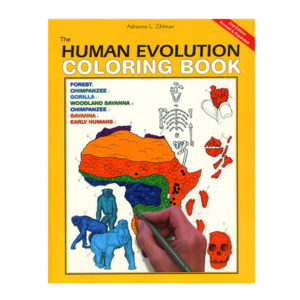 Coloring Concepts Human Evolution Coloring Book