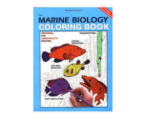 Coloring Concepts Marine Biology Coloring Book