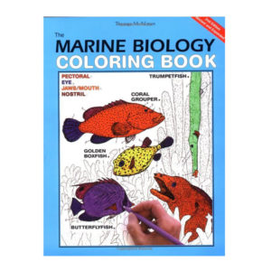 Coloring Concepts Marine Biology Coloring Book
