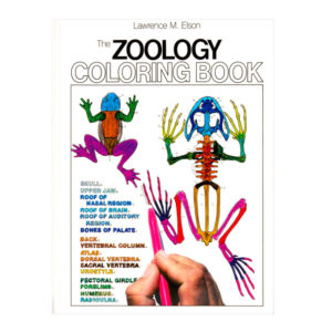 Coloring Concepts Zoology Coloring Book