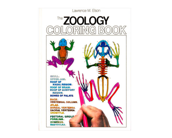 Coloring Concepts Zoology Coloring Book